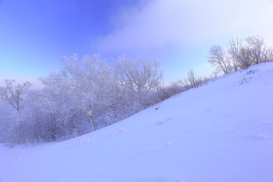 冰雪旅游