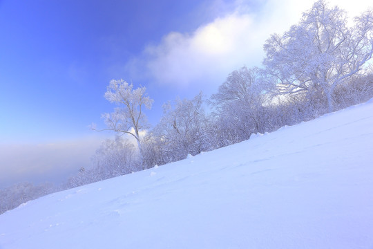 冰雪旅游