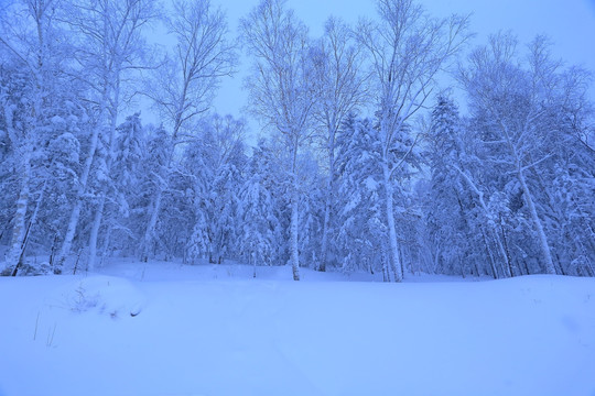 冰雪旅游