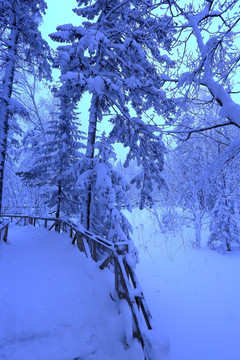 冰雪旅游