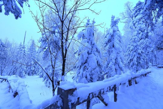 冰雪旅游