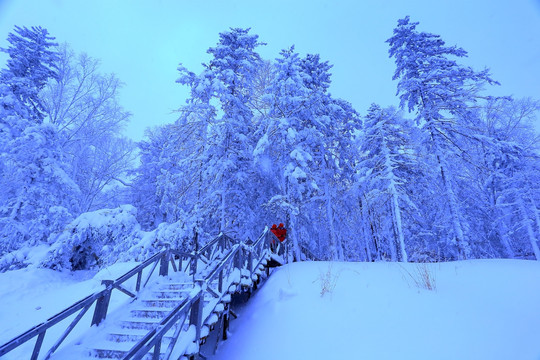 冰雪旅游