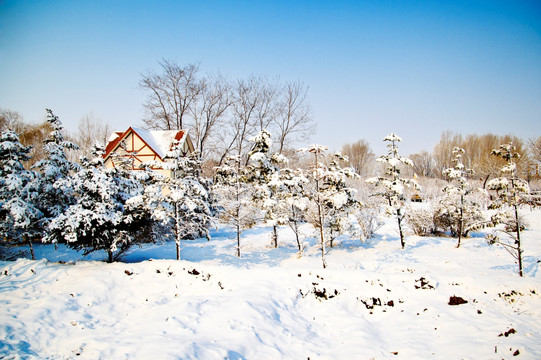 家乡雪景