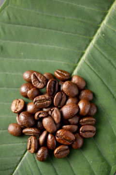 咖啡叶子咖啡豆