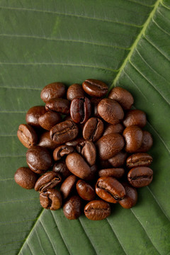 咖啡树叶子咖啡豆