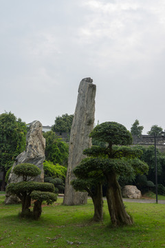 园林园艺景观