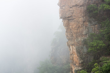 张家界天子山云雾