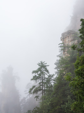 张家界云雾山川图