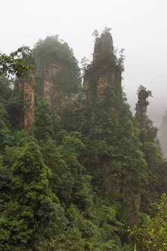 张家界山林奇观