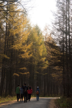 关门山国家森林公园