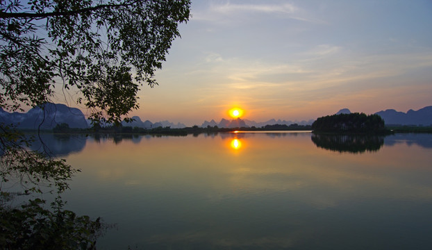 夕阳 树影