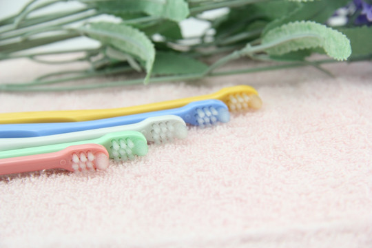 日本进口 小尖头 小刷头 牙刷