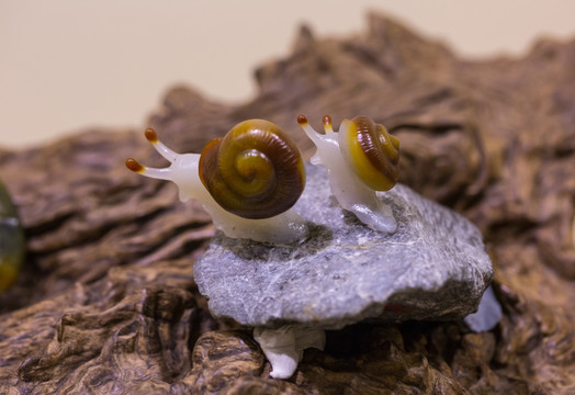 婺玉 远征 蜗牛 玉石雕刻