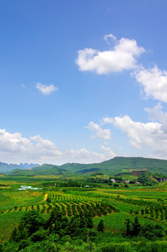 乡村风景壁纸