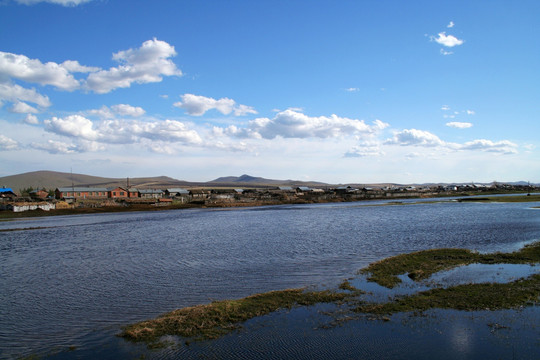 沼泽 湿地