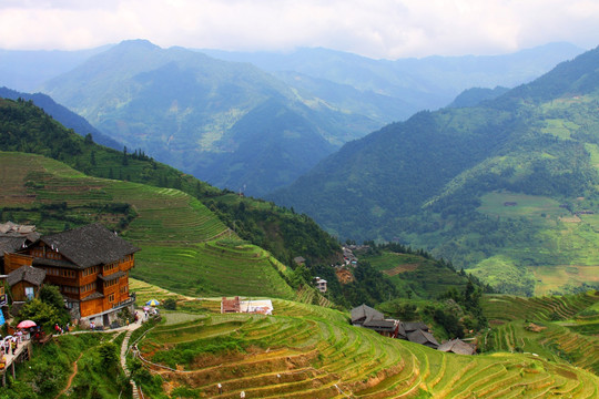 龙脊梯田