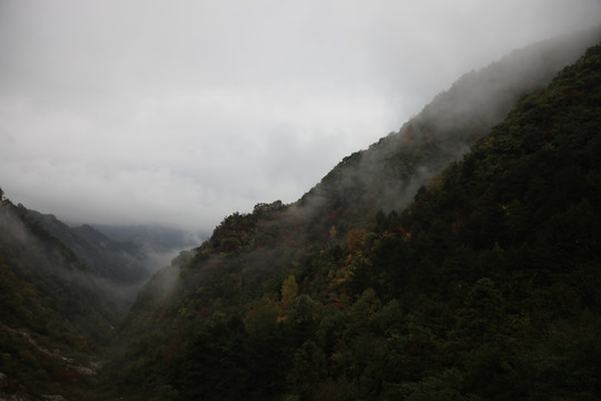 塔云山
