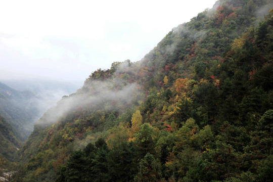 塔云山