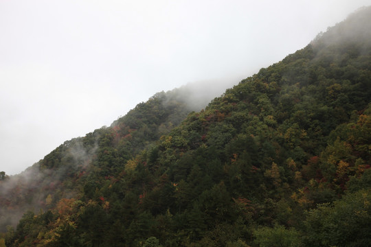 塔云山