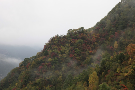 塔云山