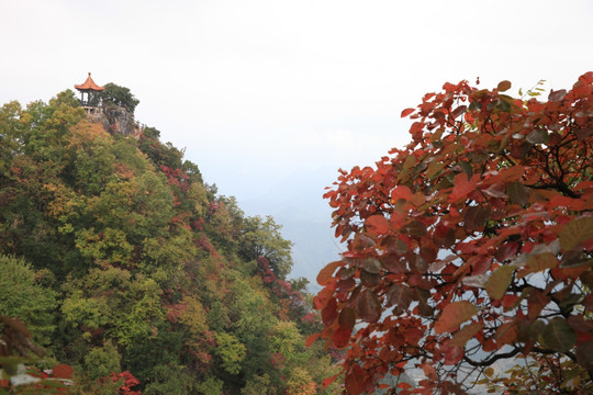 塔云山