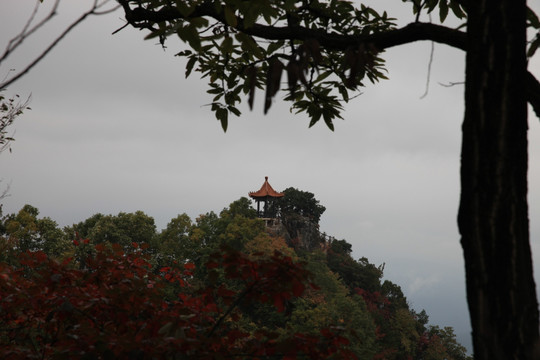塔云山