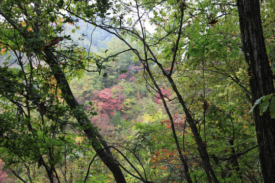 塔云山