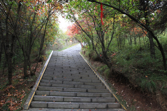 塔云山
