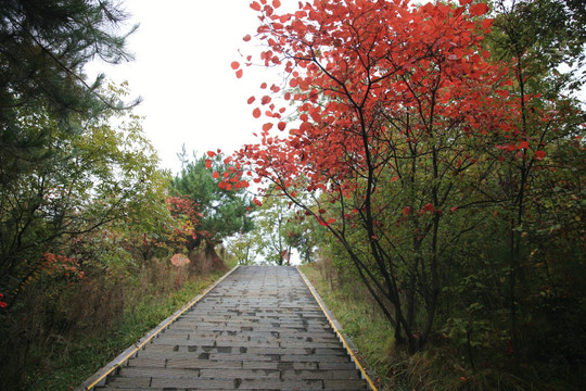 塔云山