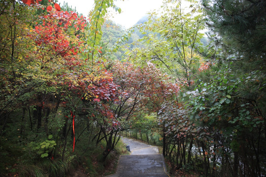 塔云山
