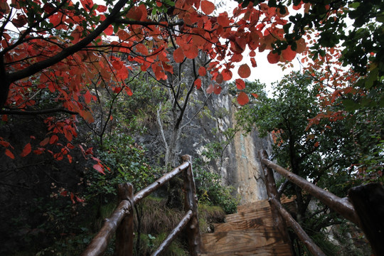 塔云山