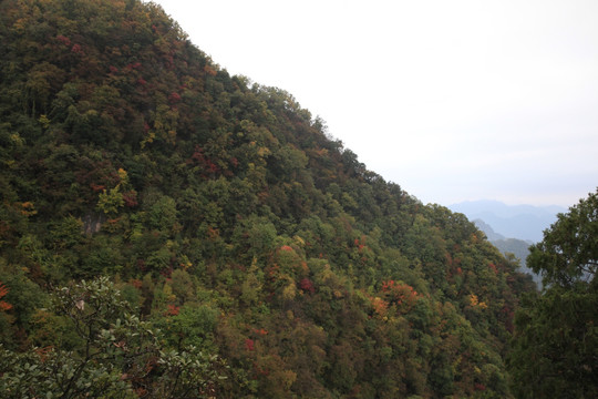 塔云山