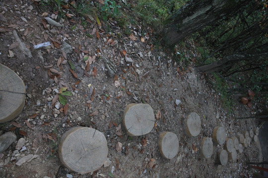 塔云山