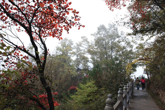 塔云山