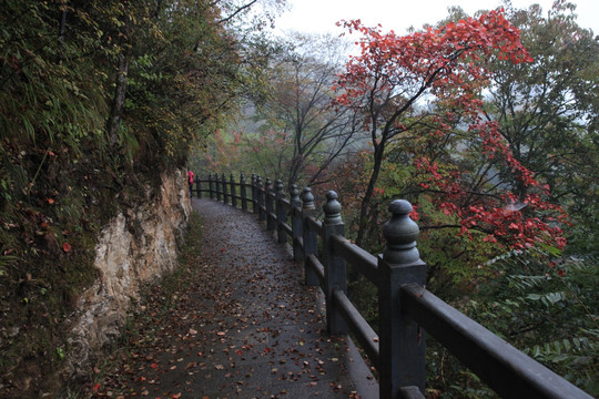 塔云山