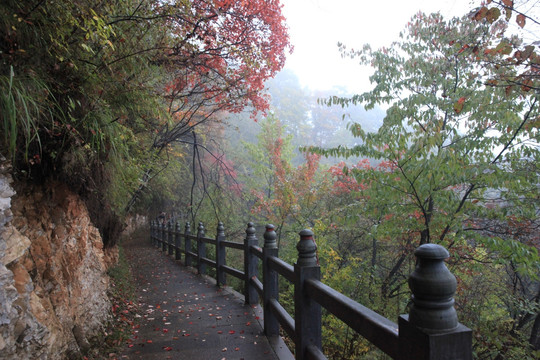 塔云山
