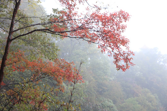 塔云山