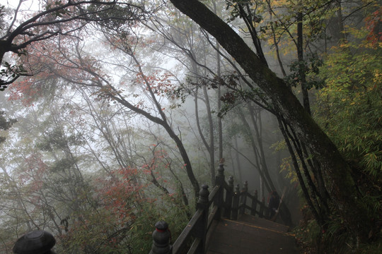 塔云山