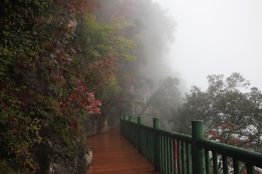 塔云山