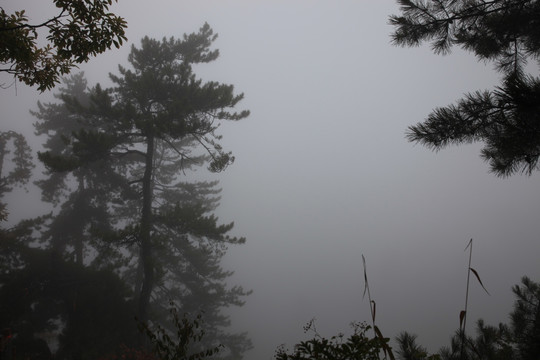 塔云山