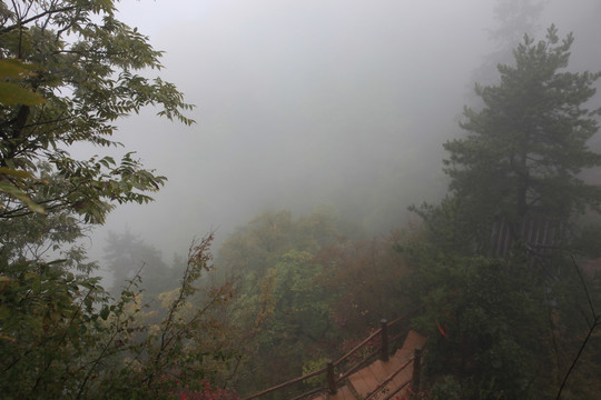 塔云山