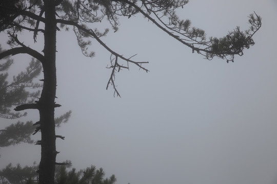 塔云山