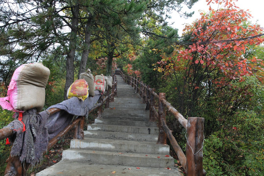 塔云山
