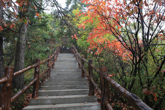 塔云山