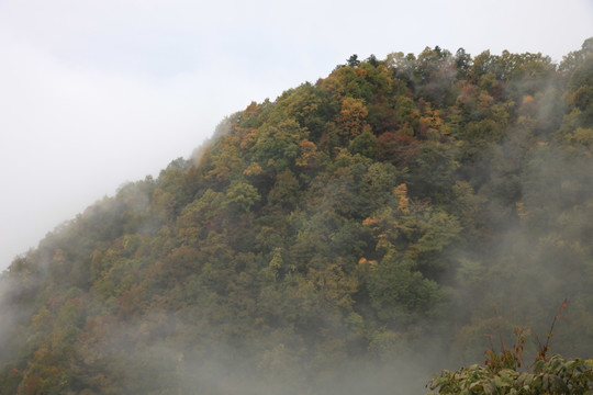 塔云山