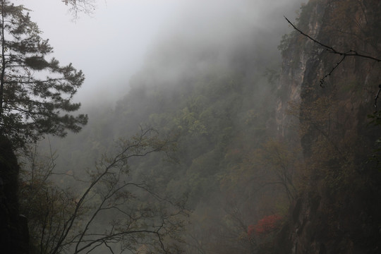 塔云山