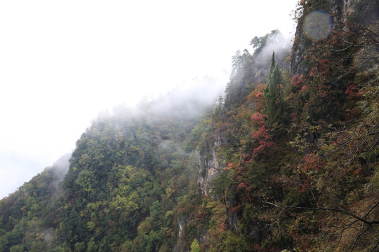 塔云山
