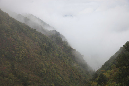 塔云山