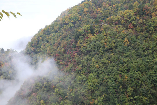 塔云山