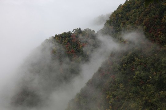 塔云山